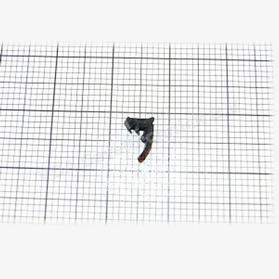 GU dichting hefschuif rubber P1156 / W-751037-00-0-6 (prijs per meter, minimale afname 10 meter)