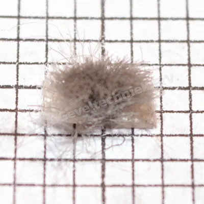 VDA mohair afdichting 208 (prijs per meter, minimale afname 10 meter)