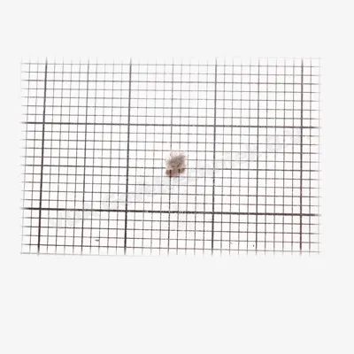 VDA mohair afdichting PR069.05504 FPAC (prijs per meter, minimale afname 10 meter)