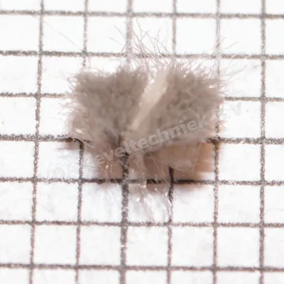 Aliplast mohair afdichting 220 ACSR_011 (prijs per meter, minimale afname 10 meter)
