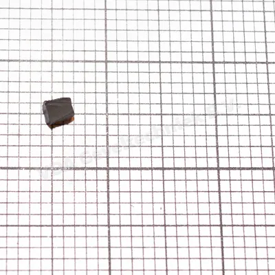 De Vries Kozijnen insteekrubber 283 DVK RGV040 (prijs per meter, minimale afname 10 meter)