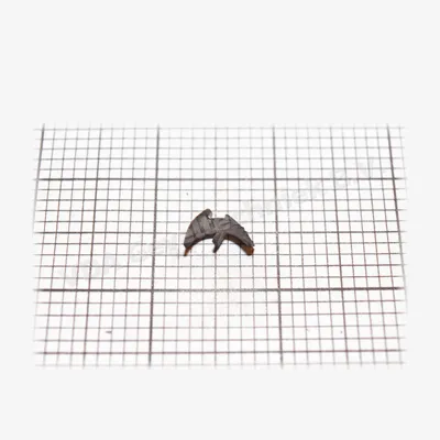 De Vries Kozijnen dichtings rubber (prijs per meter, minimale afname 10 meter)