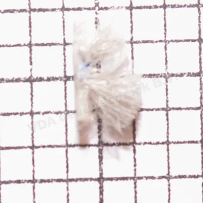 VDA mohair afdichting Type 349 (prijs per meter, minimale afname 10 meter)