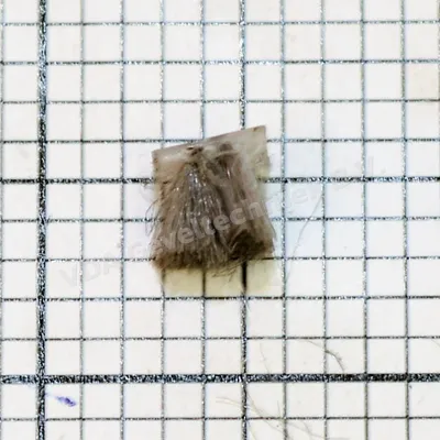 VDA Mohair 888 (prijs per meter, minimale afname 10 meter)