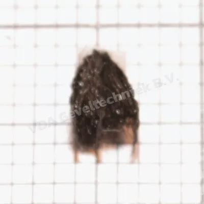 Wicona mohair W4910100.1620 (prijs per meter, minimale afname 10 meter)