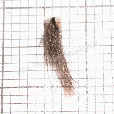 Wicona mohair W4610073/SJ26803.1620 (prijs per meter, minimale afname 10 meter)