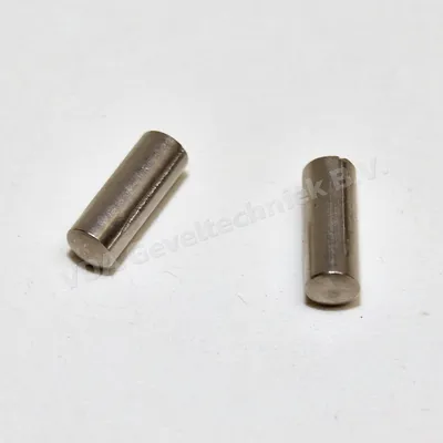 Siegenia HS stift/borgpen t.b.v. loopwagens HS200 HS300 (setje 2 stuks)