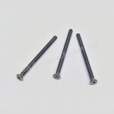 Schroeven set (3 stuks) M6x85mm RVS
