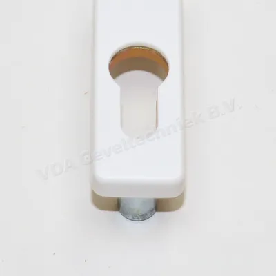 Rozet wit tbv cilinder