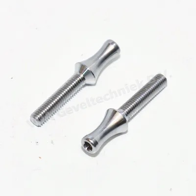 Reynaers RVS veiligheidspen/ dievenklauw 48 mm lang met M6 x 28 mm draad 2 per set