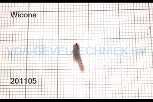 Wicona mohair W4610073/SJ26803.1620 (prijs per meter, minimale afname 10 meter)