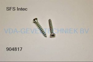 BESLAGSCHROEF SPT-19-GS 4,3x25 BLANK PER