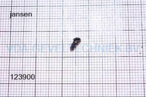 Jansen dichting rubber 455.000 (prijs per meter, minimale afname 10 meter)